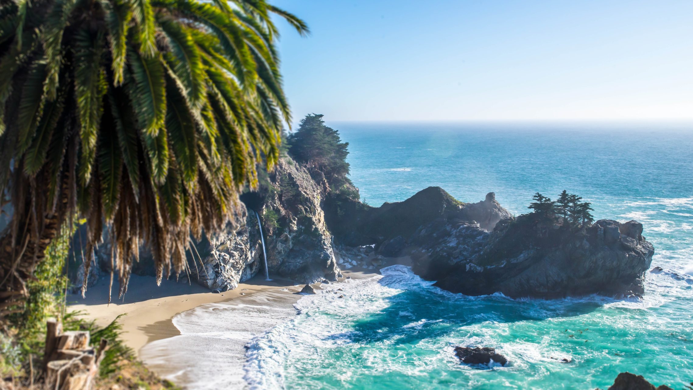 Palm tree in the foreground with a clear, blue ocean behind it